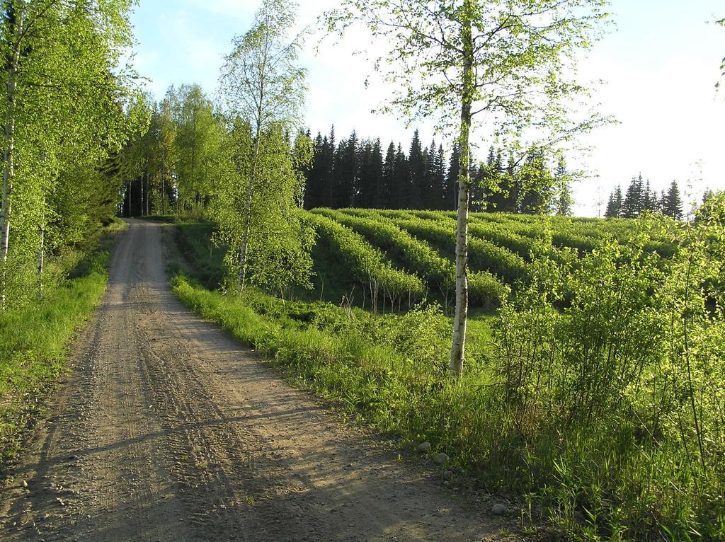 Huvilaranta Villas Isojarvi Quarto foto